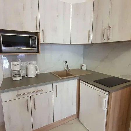 Apartment In Siofok/balaton 34971 *